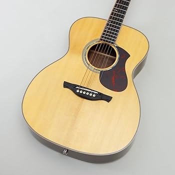 値下げ！即日発送！美品☆ エレアコ James JE450　新品弦 James J-500S BLK エレアコ アジャスタブルサドル搭載 簡単弦高